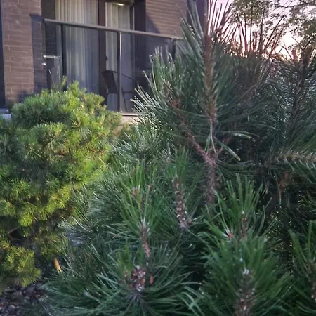 Sea La Vie Apartamentai * פלאנגה