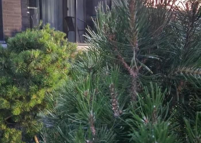 Sea La Vie Apartamentai * Palanga